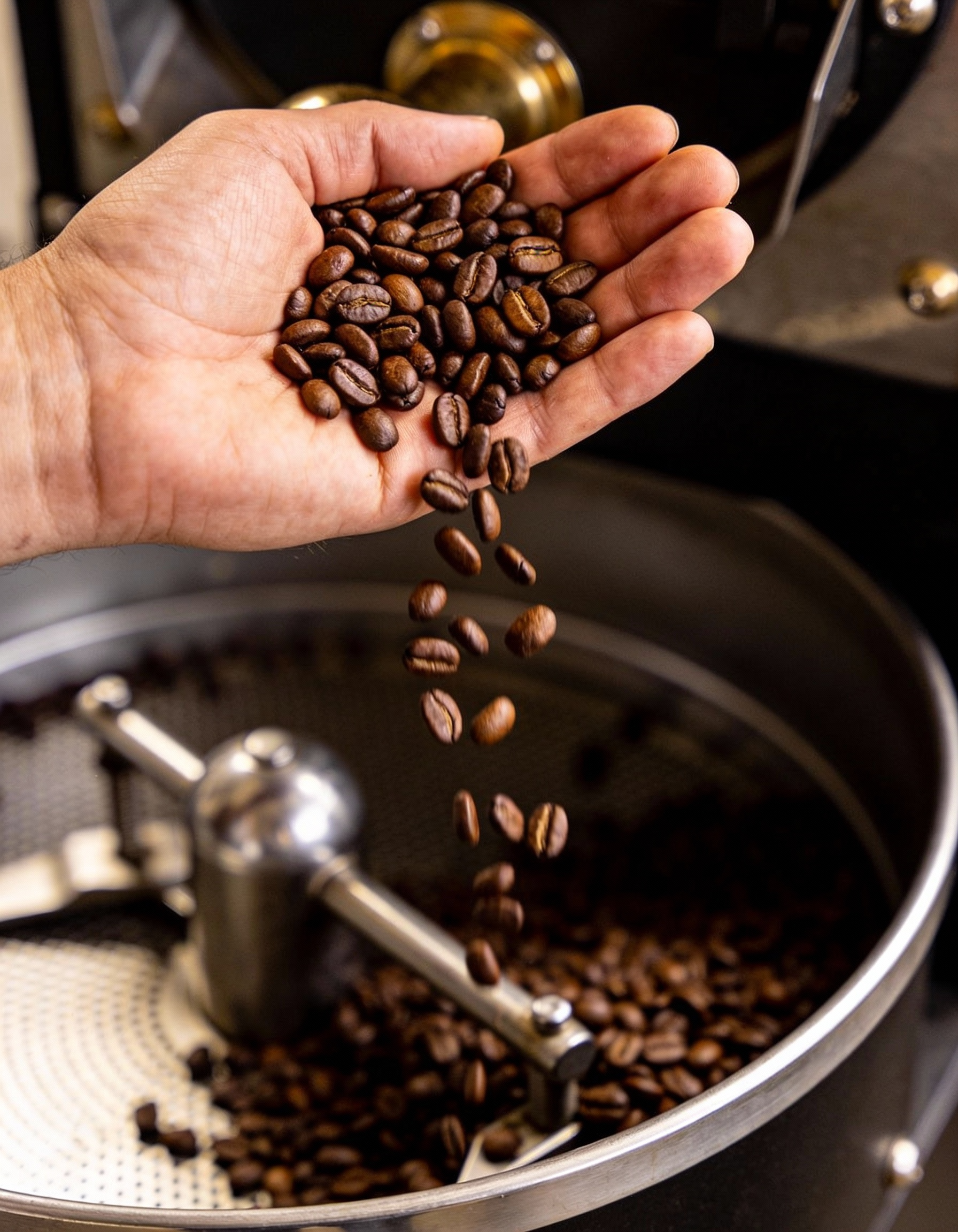 Colombian coffee farmer working during harvest